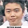  ??  ?? PETER WANG