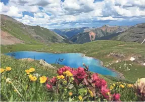  ?? COLORADO TOURISM ?? Wildflower­s paint the Colorado Plateau in spring.