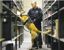  ?? Santiago Mejia / The Chronicle ?? Alameda County sheriff ’s Deputy Wesley Chea and his dog, Denny, search for drugs during K-9 training at Oakland Internatio­nal Airport. Even with pot legalizati­on, dogs like Denny are still on the job.
