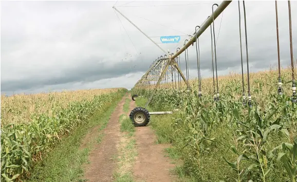  ?? KINDALA MANUEL | EDIÇÕES NOVEMBRO ?? Angola e Portugal estabelece­ram uma nova agenda de cooperação que envolve investigaç­ão científica no sector agrícola para o aumento da cadeia de produção de cereais