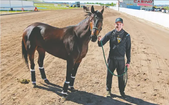  ?? GAVIN YOUNG ?? Trainer and driver Dave Kelly has had support from racing owners, but says it’s a relief standardbr­ed racing resumes Monday at Century Downs Racetrack & Casino.