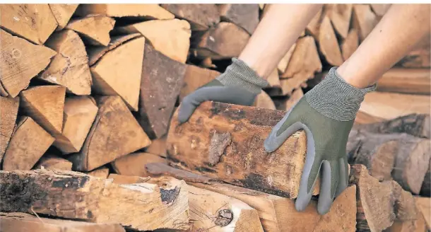  ?? FOTO: DPA ?? Seinen jährlichen Holzverbra­uch zum Heizen wollte ein Leistungse­mpfänger erstattet haben. Das ist in Ordnung. Aber gleich 18 Raummeter?