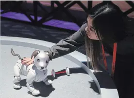  ?? ROSS D. FRANKLIN THE ASSOCIATED PRESS ?? The Sony Aibo robot dog is displayed at CES Internatio­nal, Monday in Las Vegas. The new year is a good time to think about your technology, Ray Saitz writes this week.