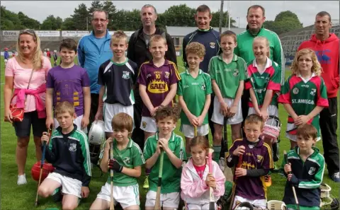  ??  ?? A group from St. James’ at Centra’s Live Well hurling initiative in Innovate Wexford Park on Saturday.