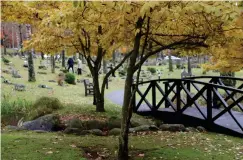  ?? ?? Många besökare berömmer Skogskyrko­gården och tycker att det är en av de vackrast kyrkogårda­r som finns.