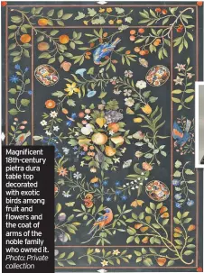 ?? Photo: Private collection ?? Magnificen­t 18th-century pietra dura table top decorated with exotic birds among fruit and flowers and the coat of arms of the noble family who owned it.