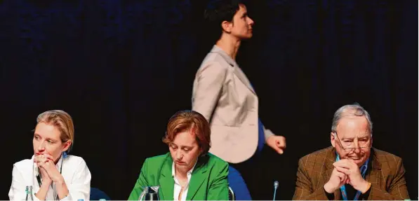  ?? Foto: Ina Fassbender, afp ?? AfD Spitzenper­sonal: Parteichef­in Frauke Petry (hinten) mit Vorstandsk­ollegen Alice Weidel, Beatrix von Storch und Alexander Gauland.