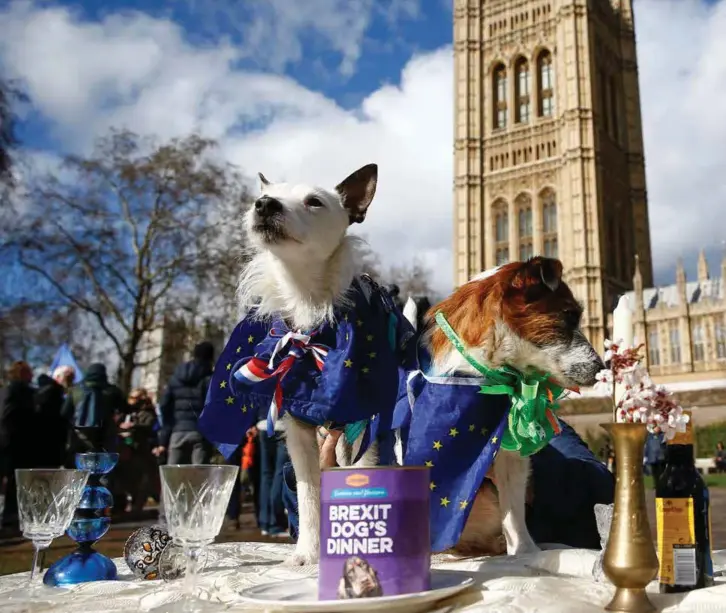  ??  ?? DEMONSTRAN­TER: «Brexit Dogs dinner» ble i går arrangert utenfor det britiske parlamente­t. Storbritan­nia var i går ikke nærmere noen avtale om brexit.