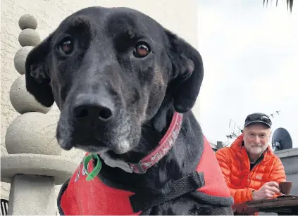  ?? PHOTO: STEPHEN JAQUIERY ?? Back where she belongs . . . Andy Cunningham with his dog Meg, who is being nursed back to health after going missing for five weeks early this year.