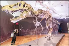  ??  ?? Stan, one of the largest and most complete Tyrannosau­rus rex fossil discov
ered, is on display on Sept 15, at Christie’s in New York. (AP)
