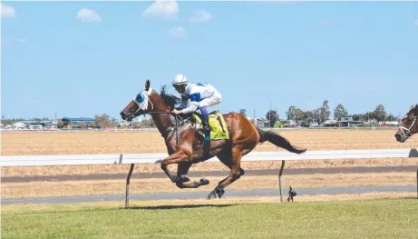  ?? Picture: File ?? TOP RUN: Bernie's Tiger stormed home from last place to secure a thrilling Laidley Cup win at the weekend for trainer Richie Stephenson.