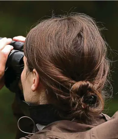  ?? Foto: Shuttersto­ckt ?? Die Wintervoge­lzählung ist keine wissenscha­ftliche Erhebung.