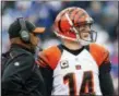  ?? BILL WIPPERT — THE ASSOCIATED PRESS FILE ?? In this Sunday file photo, Cincinnati Bengals quarterbac­k Andy Dalton (14) talks to head coach Marvin Lewis during the second half of an NFL football game against the Buffalo Bills in Orchard Park, N.Y.