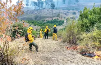  ?? F.E. ?? Unidades del cuerpo de bomberos forestales sofocaron varios incendios.
