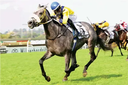  ??  ?? BOUNCING BACK. Smiling Blue Eyes, impressive winner of the Gauteng Fillies Guineas, should be back to her best for the Grade 2 SA Oaks on 6 May.