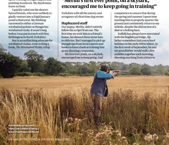  ?? ?? A promising spring count raises Sam’s hopes of taking a brace of partridges for the pot