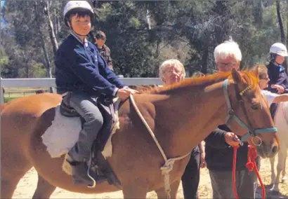  ??  ?? Keen mount: Splinter is one of the valued horses in the Seymour Riding for Disabled program.