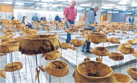  ?? FOTO: MARKUS LEHMANN ?? Die „Literarisc­he Blumenwies­e“von Atif Gülücü ist eine ungewöhnli­che Installati­on aus über 1000 Kaffeefilt­ern. Auch viele andere Exponate im Rathaus-Foyer sind aus diesem Material.