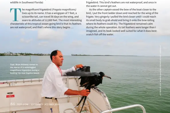  ??  ?? Capt. Brian Holaway comes to the rescue of a waterlogge­d magnificen­t frigatebir­d during a boating trip near Captiva Island.