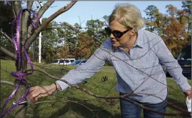  ?? Arkansas Democrat-Gazette/THOMAS METTHE ?? Laurie Jernigan, mother of Ebby Steppach, adjusts the plaque after the dedication ceremony for the tree planted in Steppach’s honor on Sunday at Chalamont Park in Little Rock.