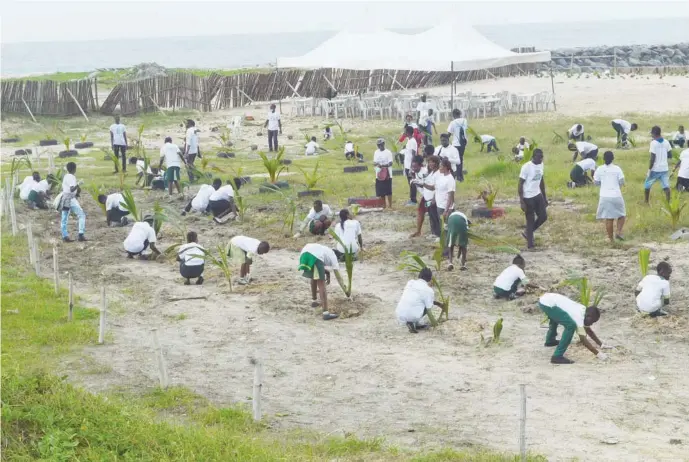  ??  ?? The students planting trees