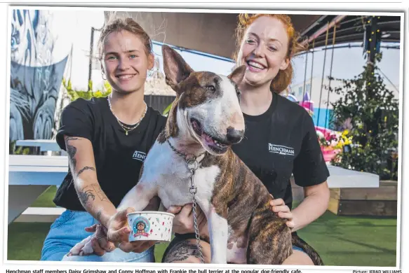  ?? Picture: JERAD WILLIAMS ?? Henchman staff members Daisy Grimshaw and Conny Hoffman with Frankie the bull terrier at the popular dog-friendly cafe.