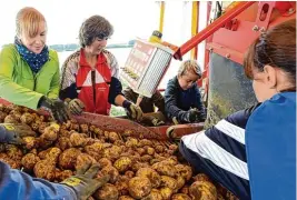  ?? Fotos: Marcus Merk ?? Auf dem Angerhof in Thierhaupt­en ist Erntezeit. Das Bild unten rechts zeigt (von links) Christiane Oßwald, Sieglinde Braun, Julius, Maxi und Ramona Singer.