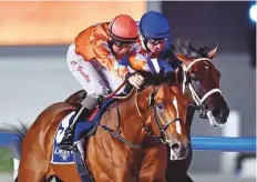  ?? Virendra Saklani/Gulf News ?? Superior (left), ridden by Connor Beasley and trained by Ahmad Bin Harmash, on way to win the Longines Ladies Master Collection Maiden at Meydan Racecourse yesterday.