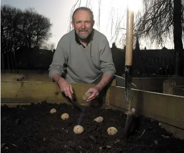  ??  ?? GERRY DALY: It’s worth sprouting, or chitting, potatoes before planting, as this brings harvest forward