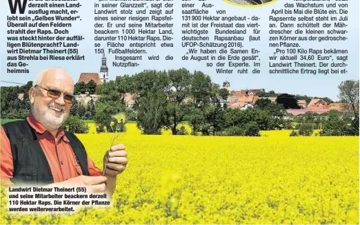  ??  ?? Landwirt Dietmar Theinert (55) und seine Mitarbeite­r beackern derzeit 110 Hektar Raps. Die Körner der Pflanze werden weitervera­rbeitet.