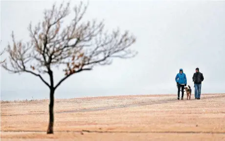  ?? [PHOTO BY SARAH PHIPPS, THE OKLAHOMAN] ?? Jana Muschinski and James Young walk Ajax at Lake Hefner on Saturday.