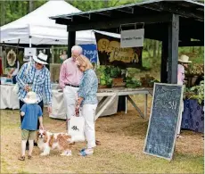  ?? CONTRIBUTE­D BY SERENBE FARMERS MARKET ?? The Saturday morning Serenbe Farmers Market is popular with visitors and residents both twoand fourlegged.