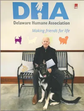  ??  ?? Joe Biden and his newly adopted German shepherd Major in Wilmington, Del., in November 2018. (Delaware Humane Associatio­n/Stephanie Carter)