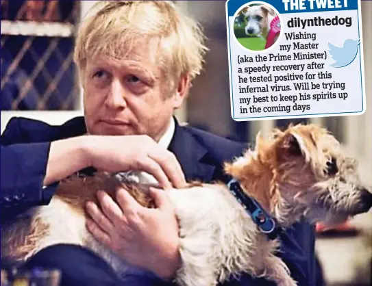  ??  ?? Lapping it up: Boris Johnson, pictured with his dog Dilyn, was breathing unaided at St Thomas’ Hospital last night