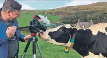  ??  ?? Raymond the videograph­er filming for the crowdfunde­r at Kilmaho farm in Kintyre, owned by Linda Maclean and her family, to support the buy-out of the creamery.