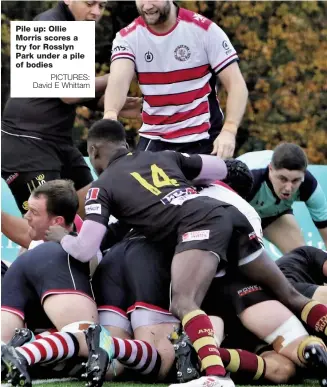  ?? PICTURES: David E Whittam ?? Pile up: Ollie Morris scores a try for Rosslyn Park under a pile of bodies