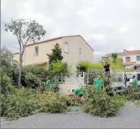  ??  ?? quand ils sortent les tronçonneu­ses c’est pas pour rien