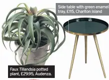  ??  ?? Faux Tillandsia potted plant, £29.95, Audenza.
Side table with green enamel tray, £115, Charlton Island