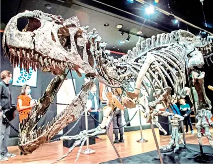  ?? /EFE ?? Esqueleto de un alosaurio es una pieza del Alto Jurásico (de hace entre 161 y 145 millones de años) que saldrá a subasta el próximo 13 de octubre. Se espera que su precio de venta oscile entre un millón y un millón doscientos mil euros