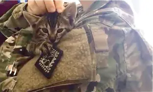  ?? Carol Rosenberg/Miami Herald/TNS ?? A cat-loving Army sergeant plays with a foster cat at a self-styled backyard shelter in a neighborho­od at the U.S. Navy base at Guantanamo Bay, Cuba, in a photo approved for release by the military.