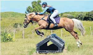  ?? Photo: SARAH LUKE ?? Jump to it: Olivia Stewart takes on a cross-country jump on her pony, Golden Ray A
Sunshine (Fudge) at Queen Elizabeth Park.