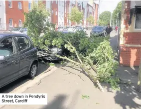  ??  ?? A tree down in Pendyris Street, Cardiff