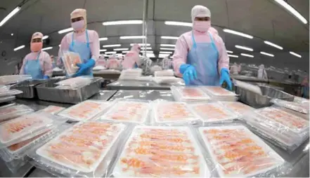  ?? VNA/VNS Photo Vũ Sinh ?? Workers pack frozen shrimp for export at a factory of Minh Phú Seafood Corporatio­n.