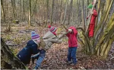  ?? Symbolfoto: Thomas Frey, dpa ?? Waldkinder­gärten sind zu einem Trend in der Kinderbetr­euung geworden. Auch die Gemeinderä­te in Baar diskutiere­n, ob dort eine solche Einrichtun­g geschaffen werden soll.