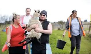  ??  ?? Tim (above centre) and other helpers are always busy. Left, a sheep called Inspector Clouseau gives a hug!