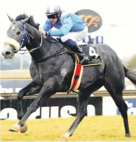  ?? JC Photograph­ics Picture: ?? FAVOURABLE CONDITIONS. Mujallad is on good form and with a light weight of just 53.5kg on his back, could be the runner to beat in the Grade 3 Tommy Hotspur Handicap over 1000m at Turffontei­n tomorrow.