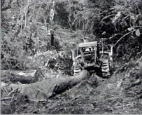  ??  ?? Top: The Internatio­nal bulldozer dragging out native logs in the Mokai Forest.