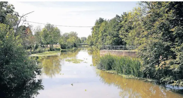  ?? FOTO: D. STANIEK ?? Die Erft bei Wevelingho­ven. In weiten Teilen soll der Fluss mit Blick auf das Ende der Braunkohle­tagebaue renaturier­t werden.