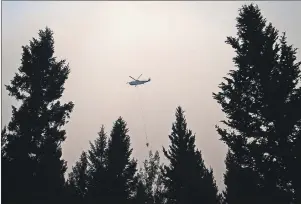  ?? CP PHOTO ?? A helicopter carrying a bucket battles the Gustafsen wildfire near 100 Mile House, B.C. More than 180 fires were burning, many considered out of control, as the B.C. government declared a provincewi­de state of emergency to co-ordinate the crisis...