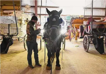  ?? Photos by Charlie Blalock/contributo­r ?? Joe Garcia hooks his horse Romeo to a carriage. Five carriage companies operate in San Antonio.